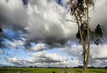 篮球——NBA常规赛：猛龙不敌马.