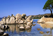 克内克特35分布朗尼4分2篮板 湖人险胜太阳.